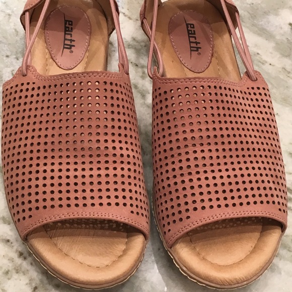 Earth Shelly slides - Picture 5 of 5